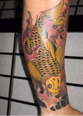 Yellow Koi