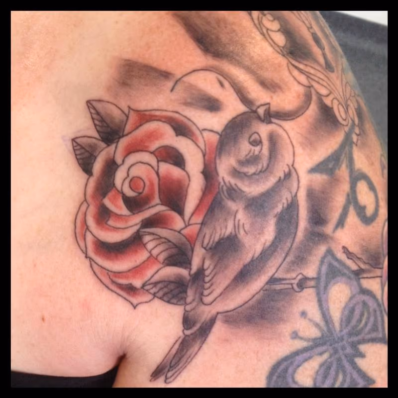 bird n rose