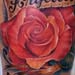 Roses tattoo