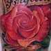 Roses tattoo