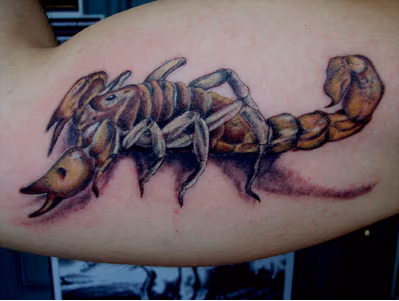 scorpion tattoo