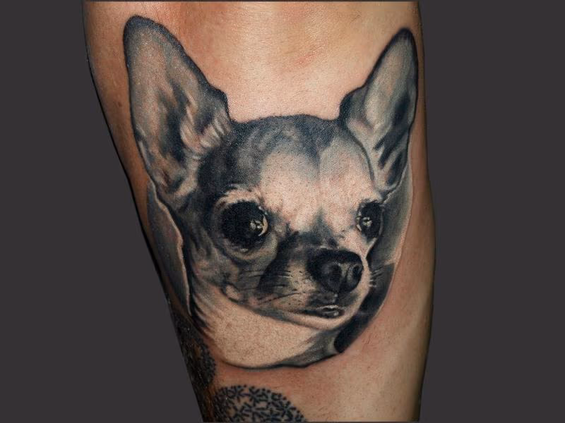 chuhuhua portrait black and grey tattoo