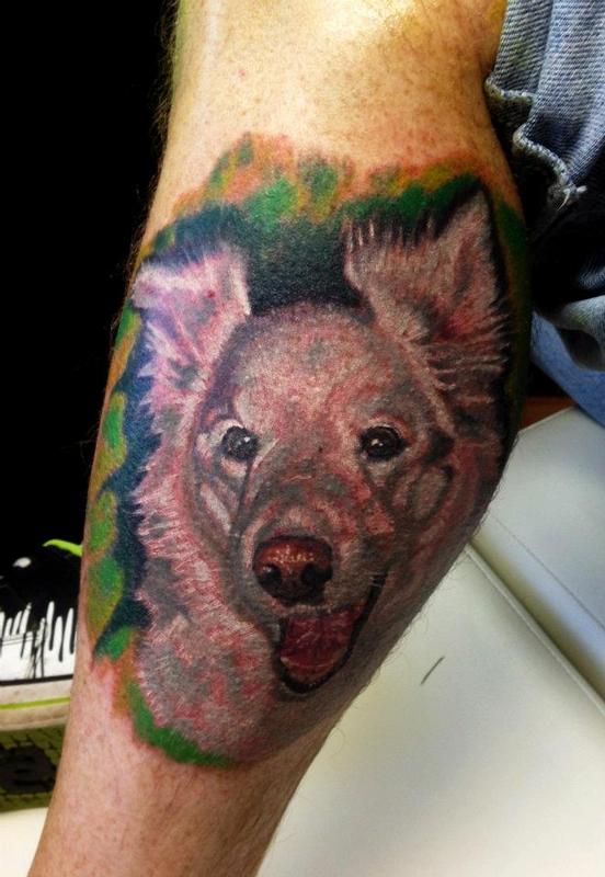 color dog portrait