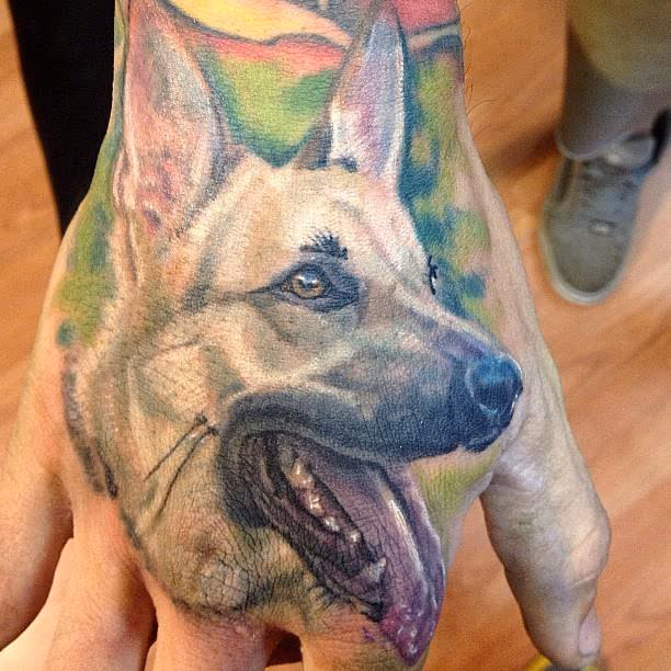 German shepherd dog portrait done by cesar perez from ,Keene,NH