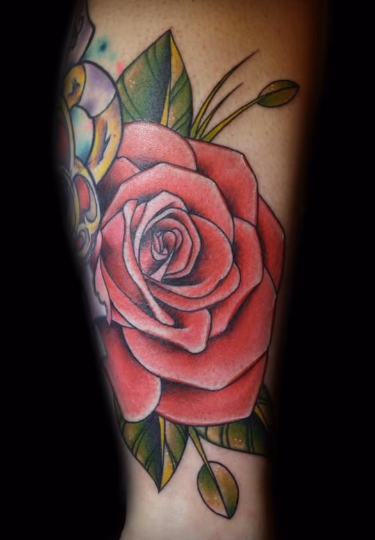 Rose Tattoo
