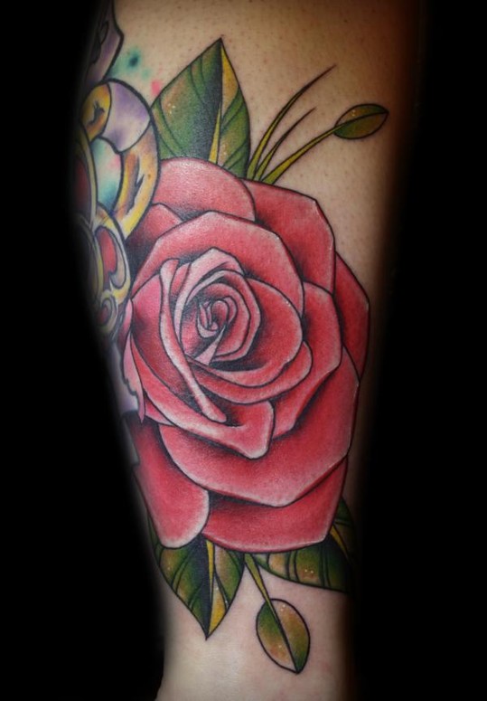 Rose Tattoo