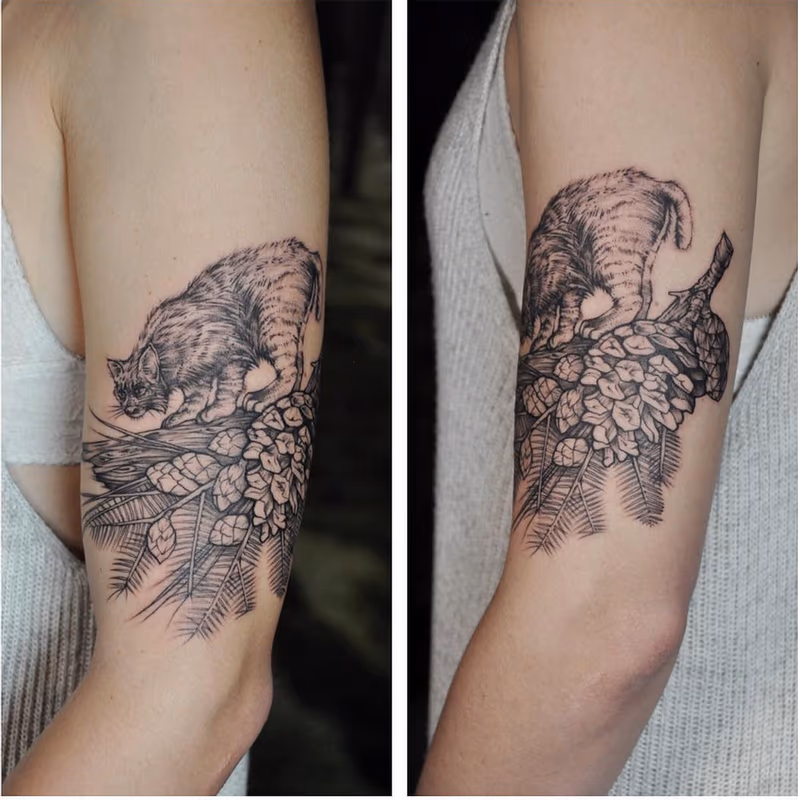 Bobcat and Pinecone. Instagram @MichaelBalesArt
