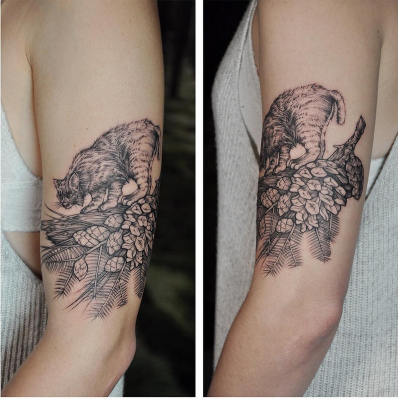Bobcat and Pinecone. Instagram @MichaelBalesArt