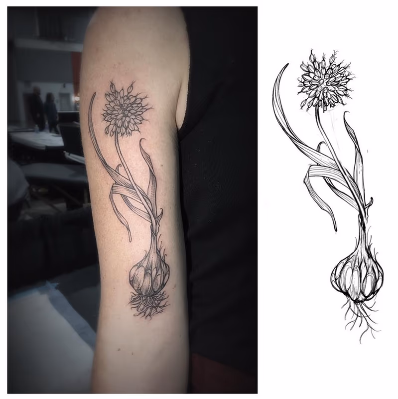 Garlic Plant- Instagram @michaelbalesart