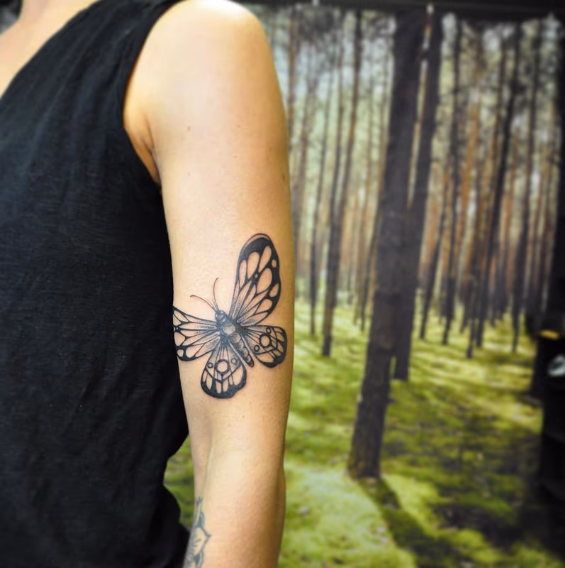 High Contrast Butterfly. Instagram @MichaelBalesArt