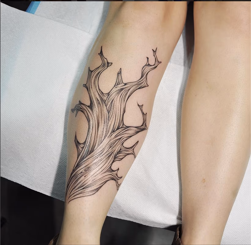 Bristlecone Pine Tree on Shin- Instagram @michaelbalesart