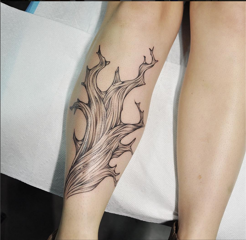 Bristlecone Pine Tree on Shin- Instagram @michaelbalesart