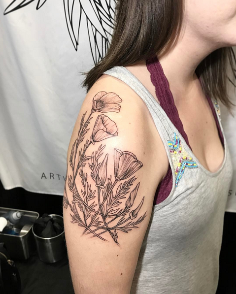 California Poppies- Instagram @MichaelBalesArt