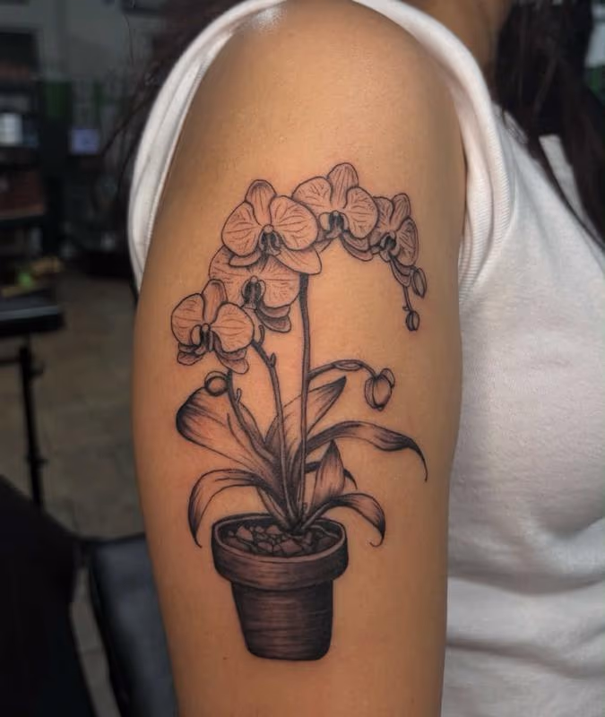 Orchid tattoo by AlyKat