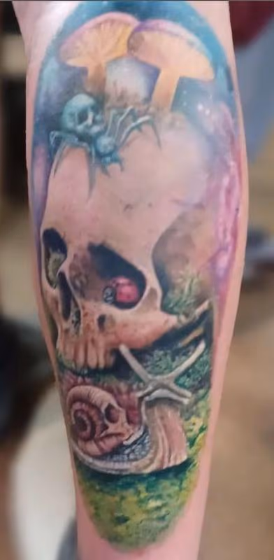 skulls