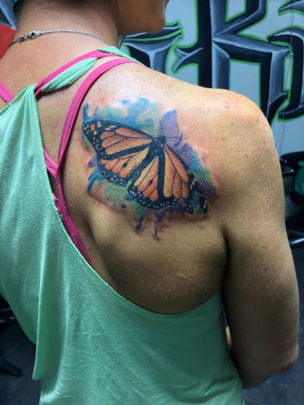 Monarch Butterfly