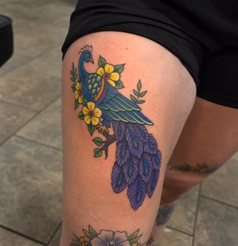 pretty peacock