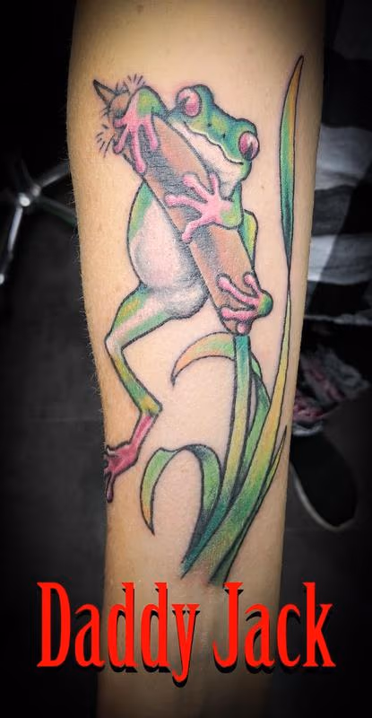 Tree Frog