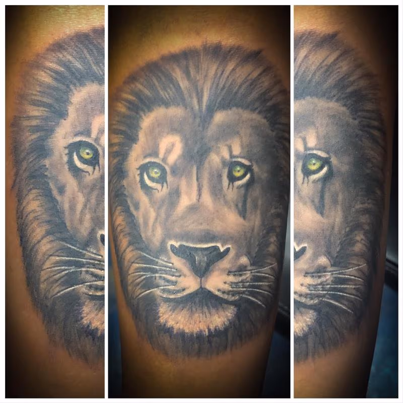 Lion Face