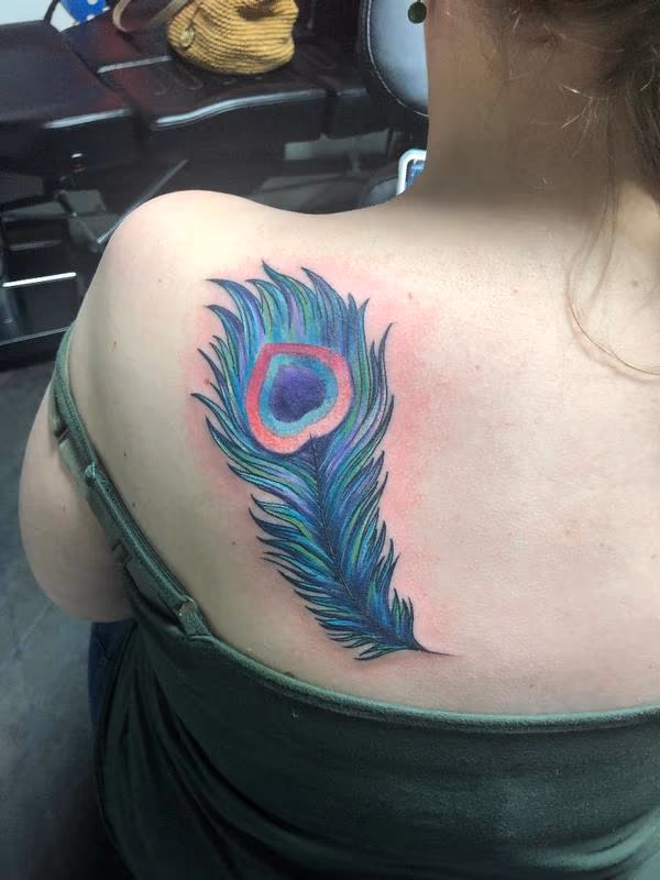 Peacock Feather