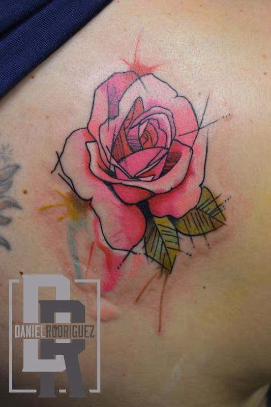 water color rose