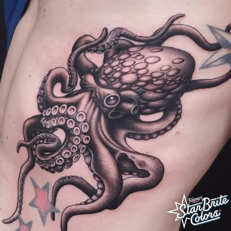 Octopus