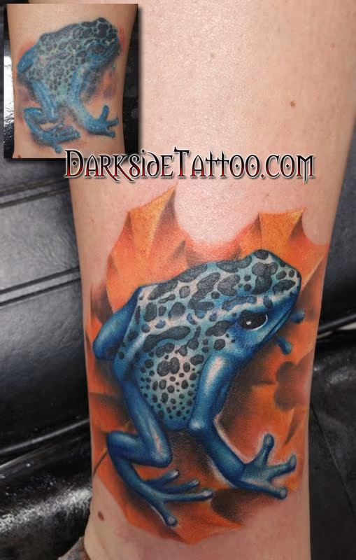 Color Frog Rework Tattoo