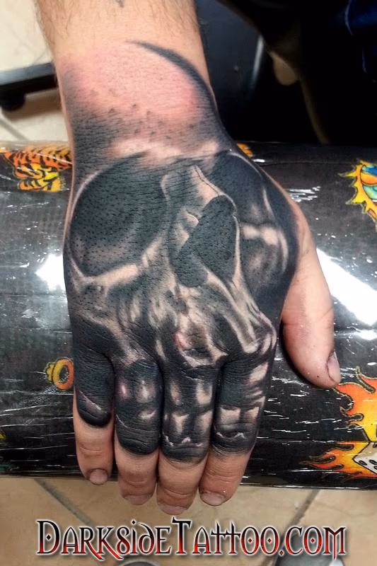 Black and Gray Skull on a Hand