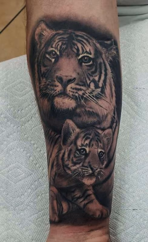 Tiger and Cub