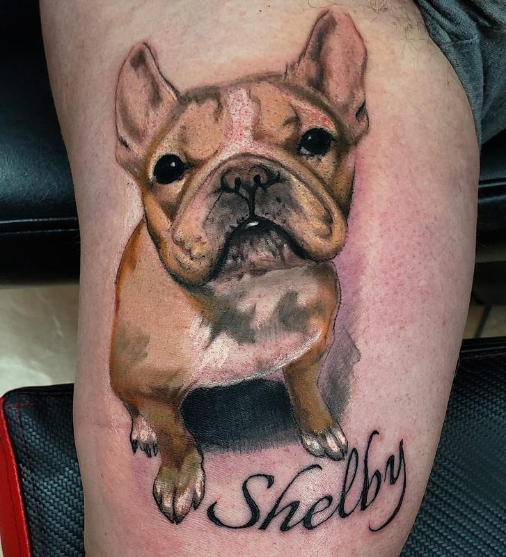 French Bulldog