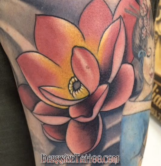 Lotus