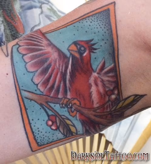 Bird