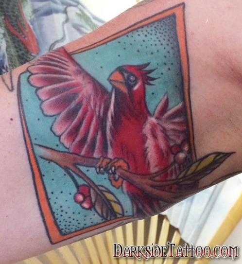 Bird