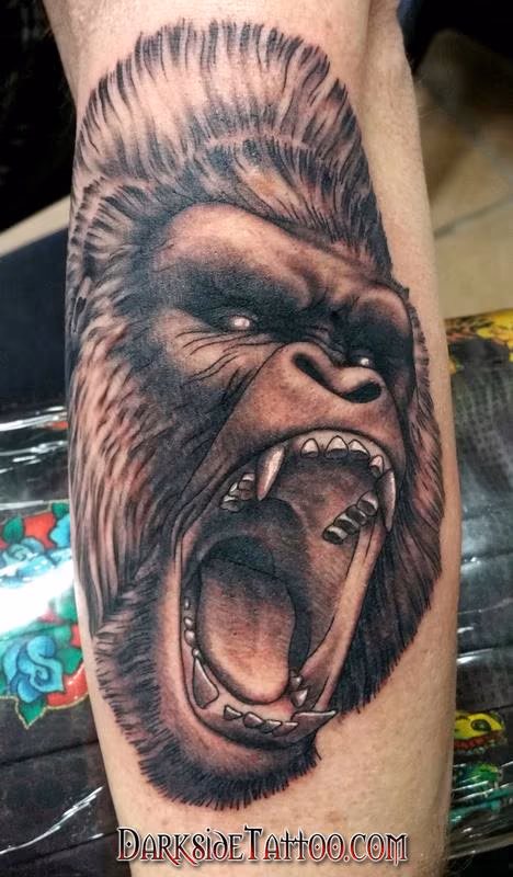 Black and Gray Gorilla