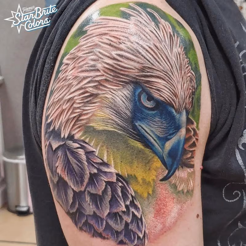 Phillipines Eagle