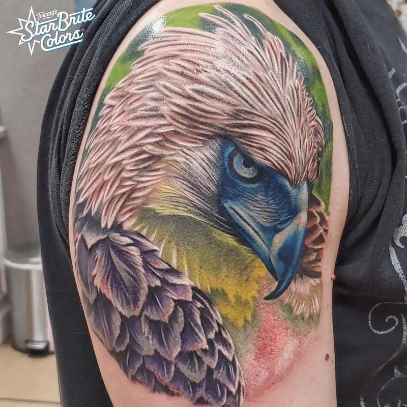 Phillipines Eagle