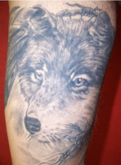 WOLF