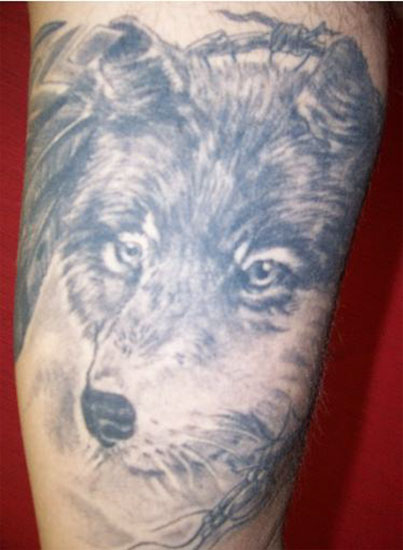 WOLF