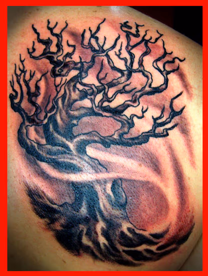 Tree wind