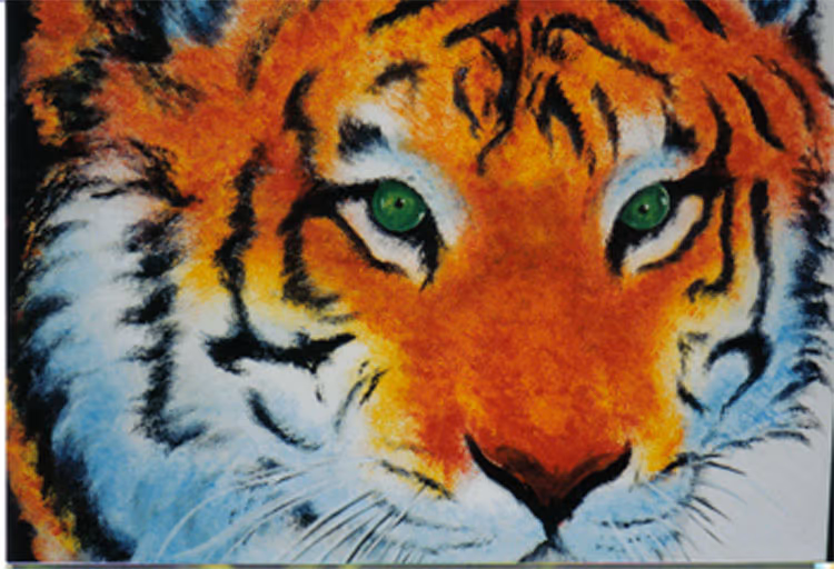 sponge tiger