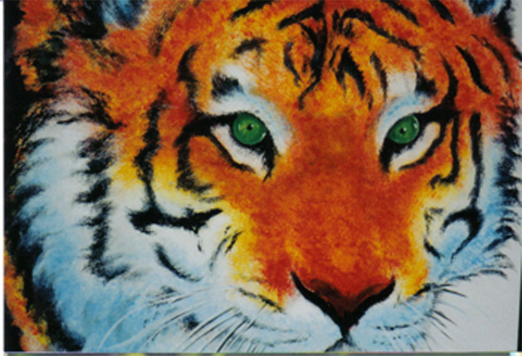 sponge tiger