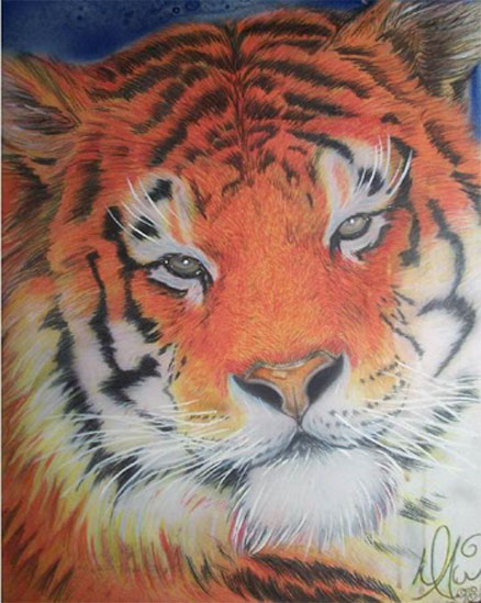 TIGER