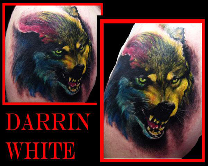 Wolf Portrait