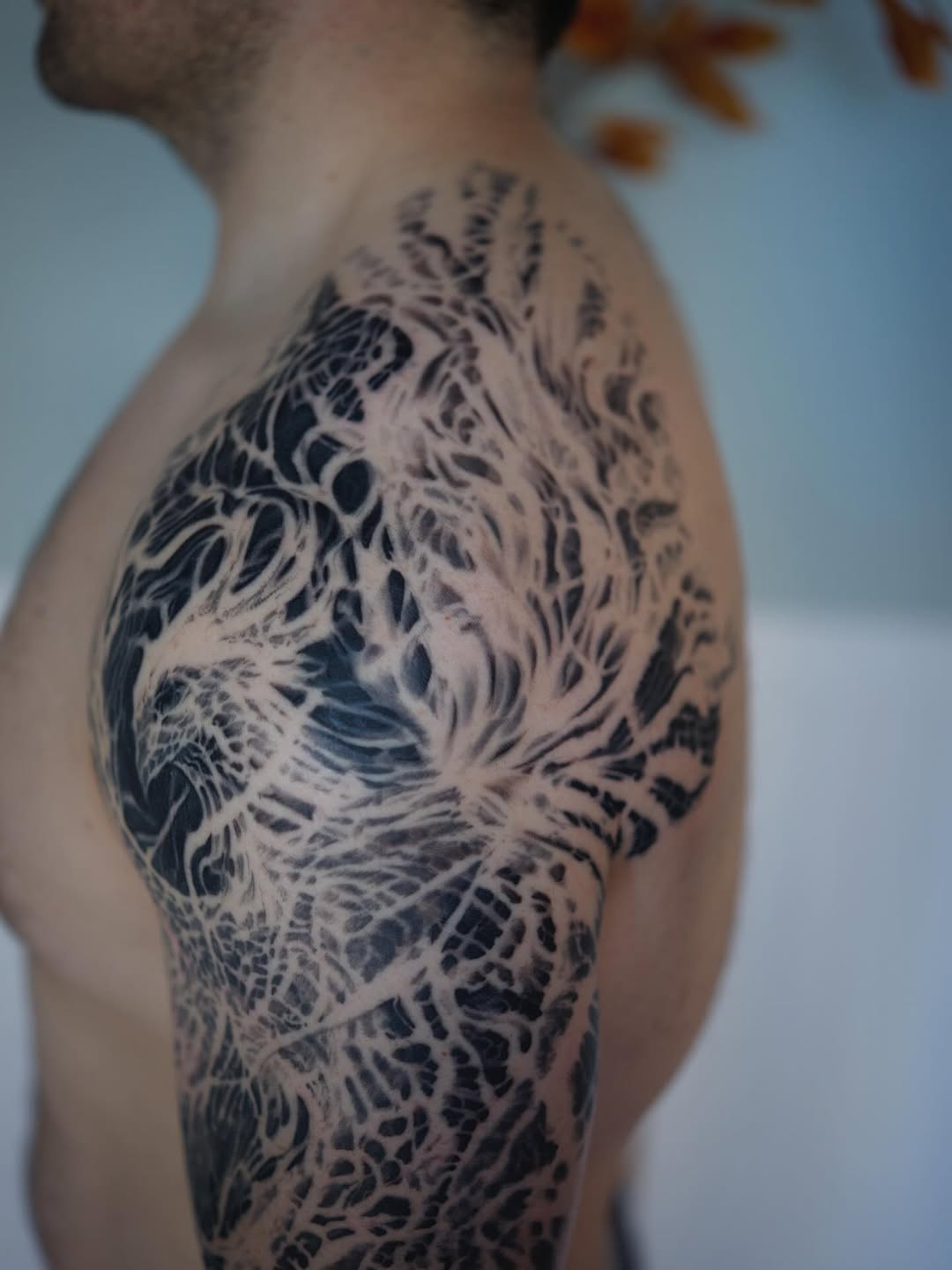 Black-and-grey organic wing tattoo, shoulder