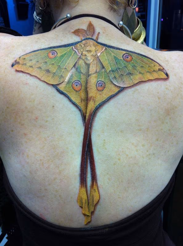 Mon Moth