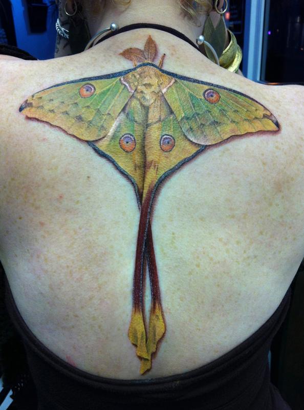 Mon Moth