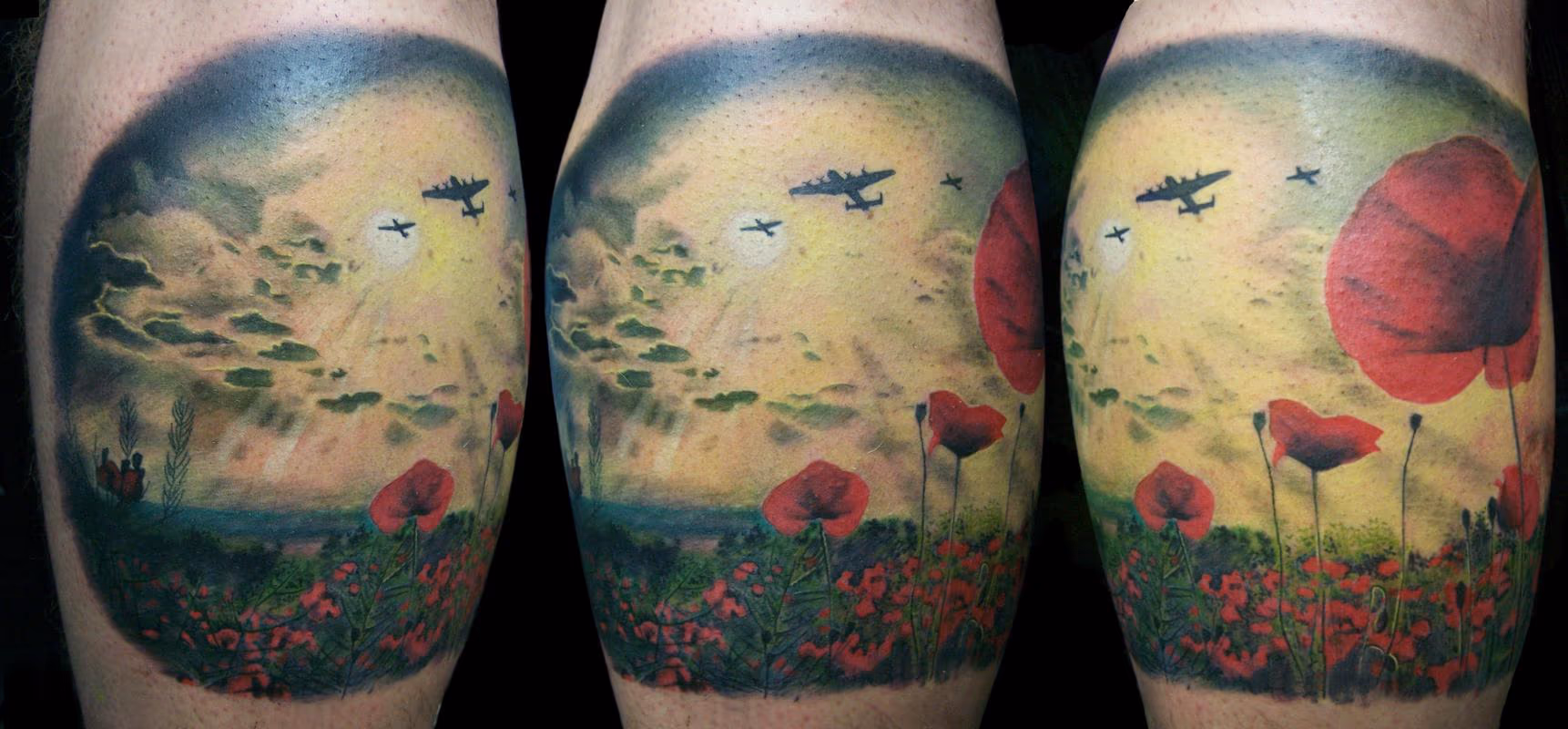 War - Poppy Field