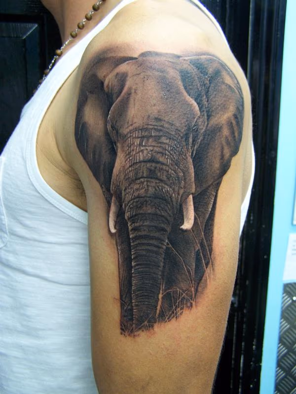 Realistic Elephant Tattoo
