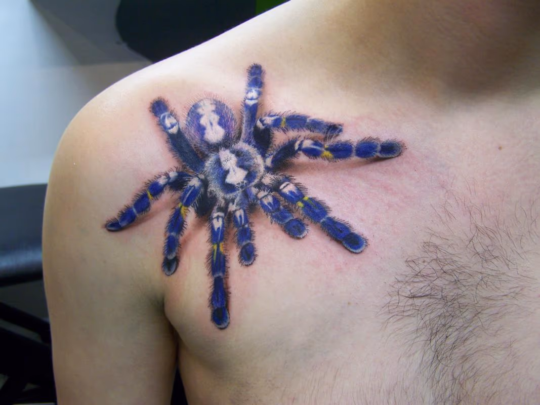 Spider Tattoos