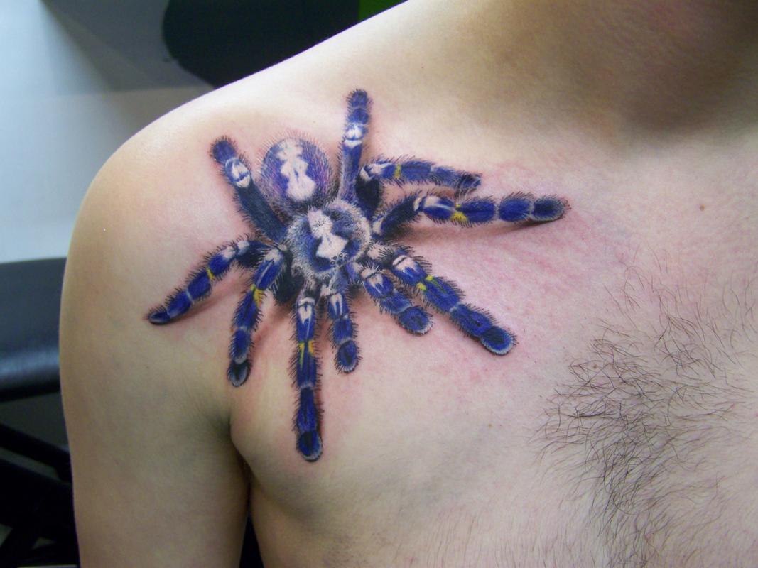 Spider Tattoos